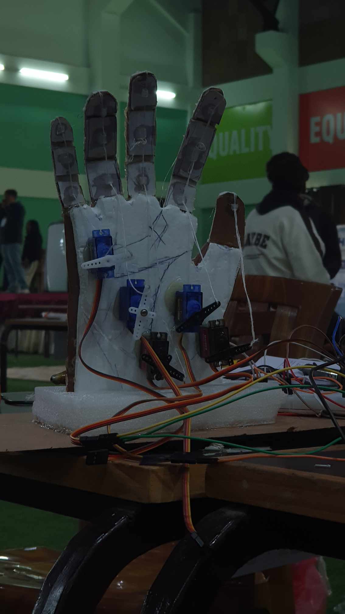 Bionic Arm