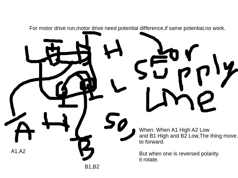 Unga Bunga Circuit